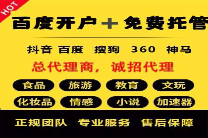 百度竞价SEM案例研究：提升转化率的关键策略